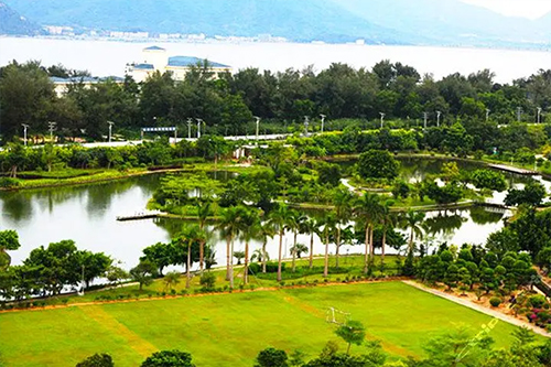 1642671904124652.jpg 4.jpg