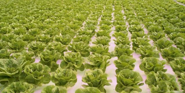 1642672244146085.jpg 微信图片_20220120174847.jpg