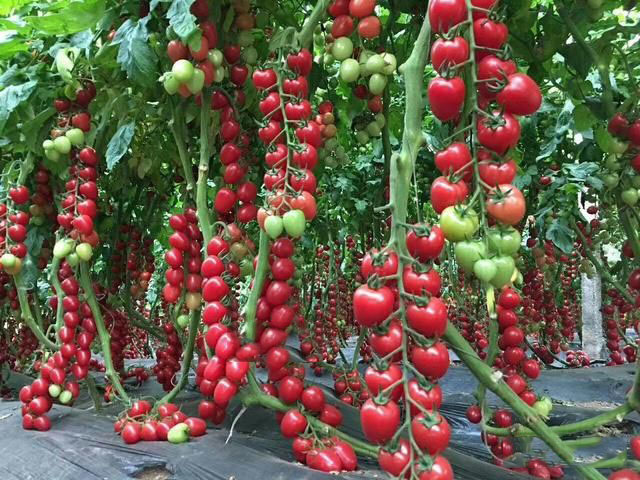 1642672261585178.jpg 微信图片_20220120174851.jpg