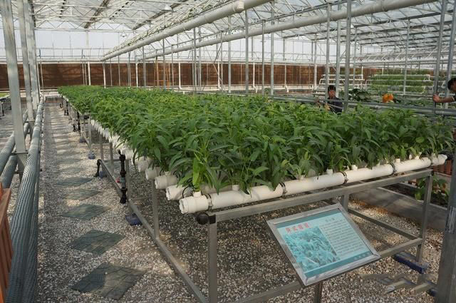 1642672274187400.jpg 微信图片_20220120174855.jpg