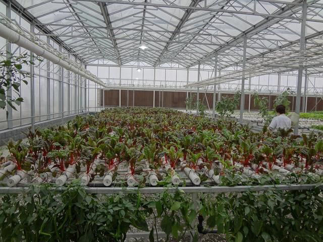 1642672286109020.jpg 微信图片_20220120174858.jpg