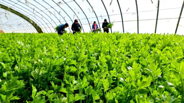 1642730048268826.png 微信图片_20220121095310.png