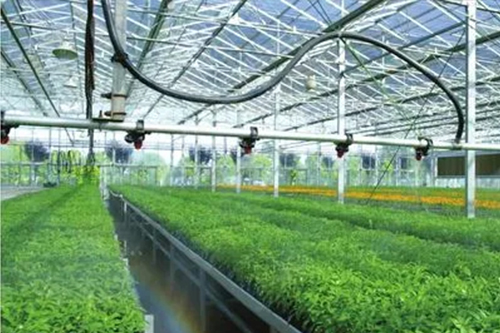 1642730064670727.jpg 11.jpg