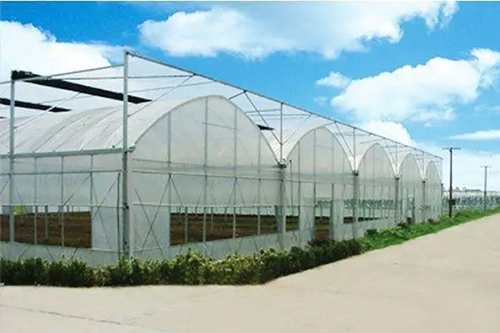 温室大棚二十四节气蔬菜种植安排（值得收藏）