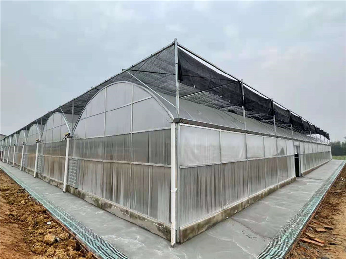 连栋大棚外遮阳案例