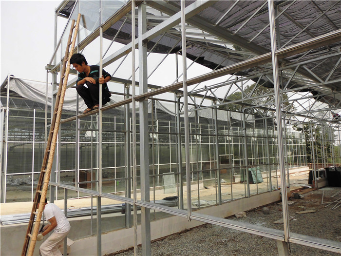 玻璃温室大棚案例